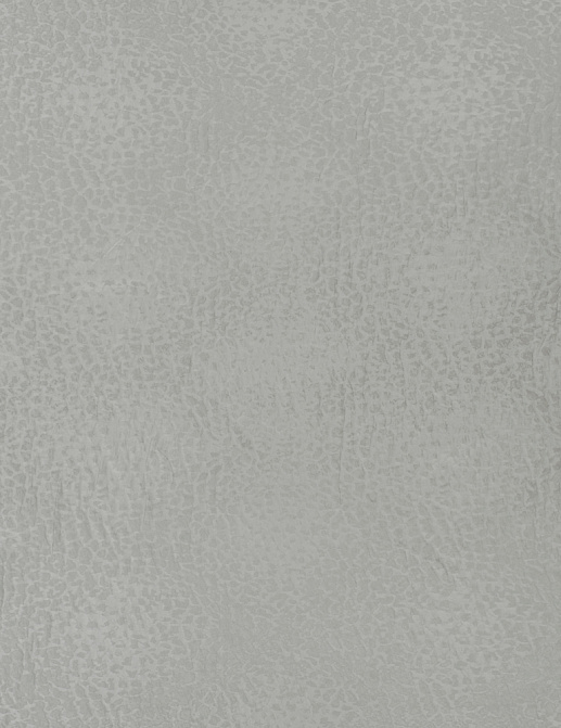 Ткань Designers Guild Ciottoli FDG2348/04