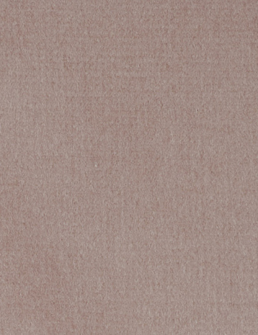 Ткань Alessandro Bini Velluto di Cotone G075/444