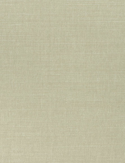 Ткань Thibaut Woven Resource 12 Prisma W70108