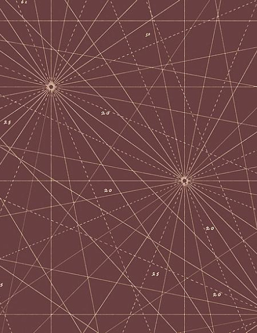 Панно и фотообои Paint & Paper Library Tresco Chart Plum Brandy