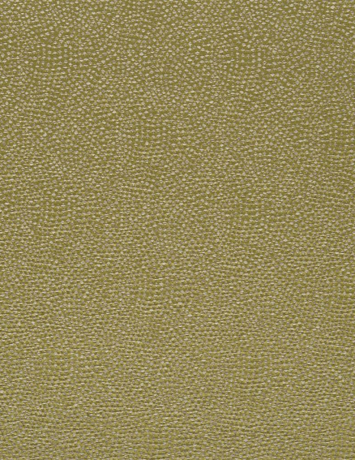 Ткань Designers Guild Sesia FDG2747/10