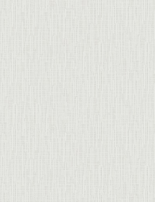 Обои Casa Mia Silver RM11204