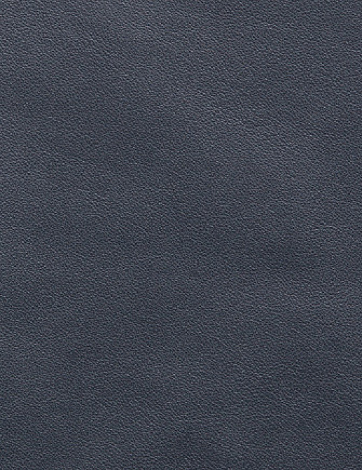 Ткань Holly Hunt Holly Hunt Leather 9250/39