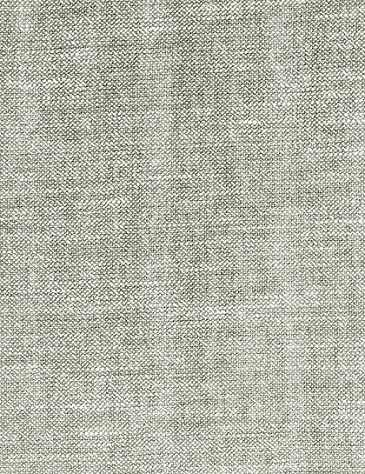 Ткань Andrew Martin Carlotta Palazzo/Pebble