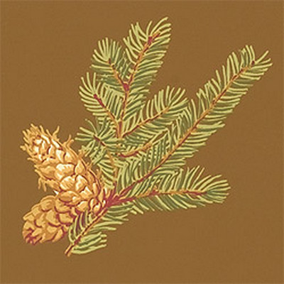 Обои Thibaut Castle Pine T6336