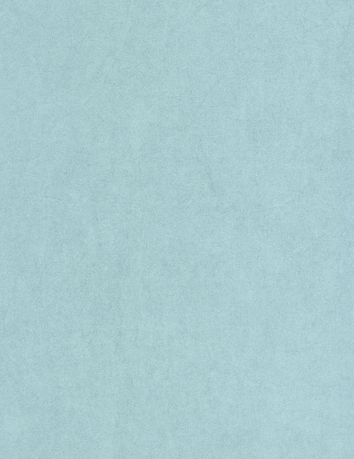 Обои Casadeco Cotton Touch COTO82386375