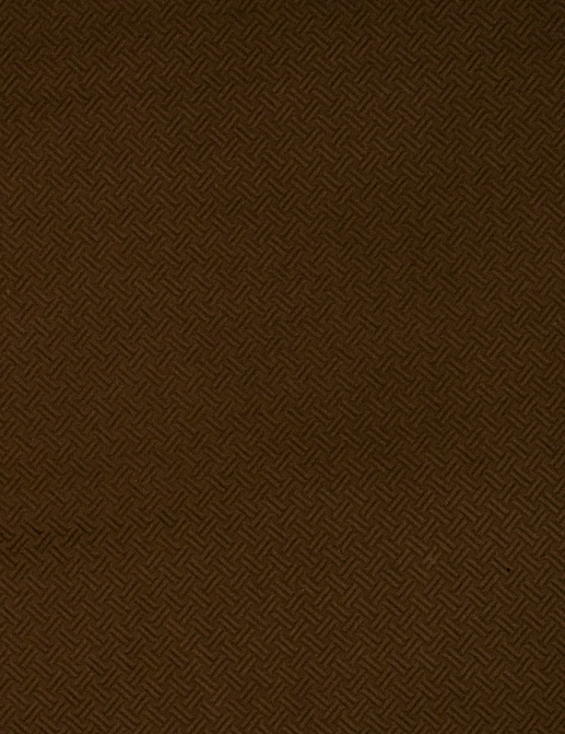 Ткань Trend Jaclyn Smith Home brown black 01840 Pecan