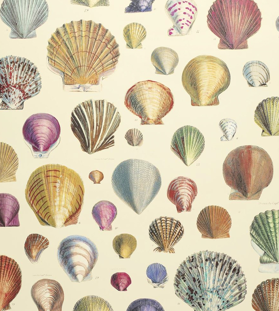 Английские обои Designers Guild, коллекция John Derian - Picture Book, артикул PJD6000-01