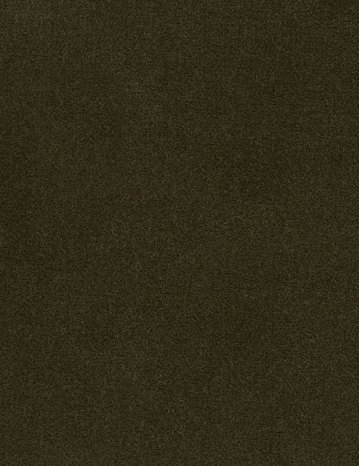 Ткань Loro Piana Cotton Velvet II AC3036/005