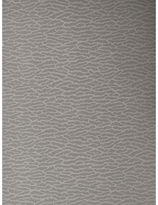 Обои Vervain Barry Dixon 90008W/03
