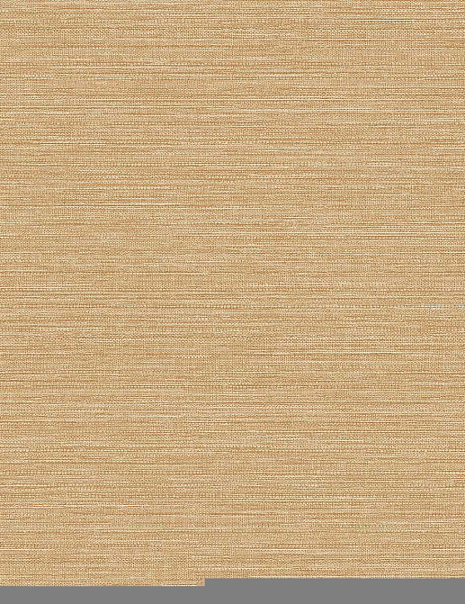 Обои Wallquest Amber (Casa Mia) WF20016