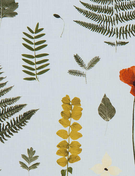 Ткань Clarke & Clarke Botanica F1089/04