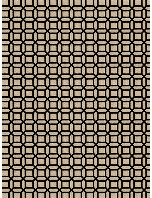 Ткань Fabricut Vignettes Vol.XIII Platinum Kamla/Black