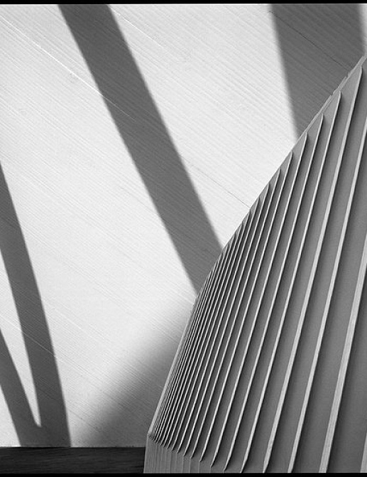 Панно и фотообои JWall One WJE00891