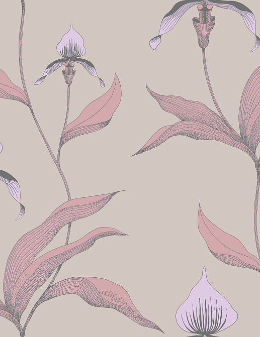 Обои Cole & Son New Contemporary 66/4025