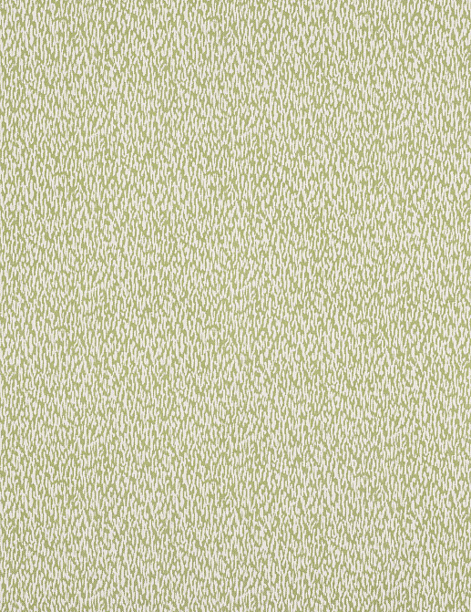 Ткань Manuel Canovas Domino M4167/05