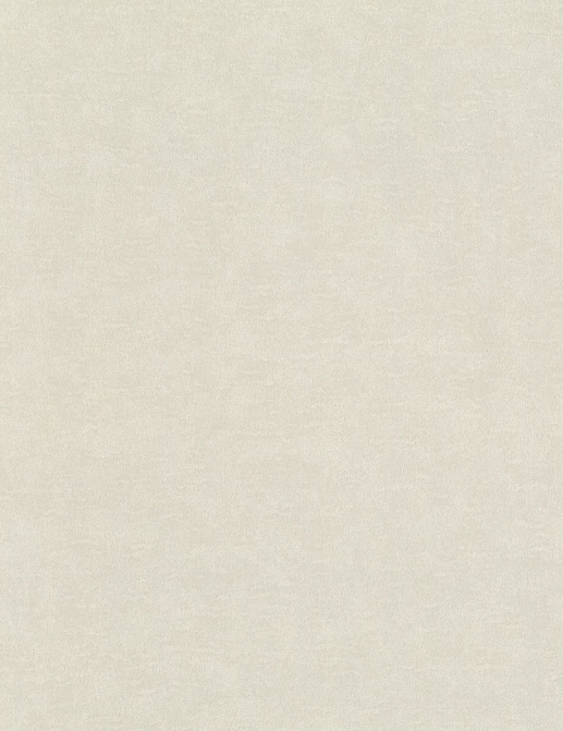 Обои Rasch Wall Textures XL Vol3 965025