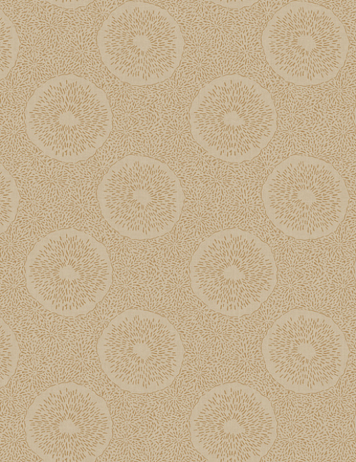 Обои York Carey Lind - Jewel Box LD7643