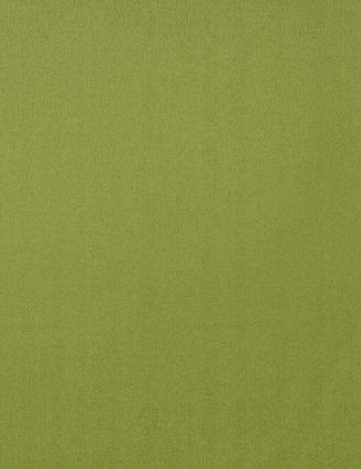 Ткань Designers Guild Santiago F1649/39
