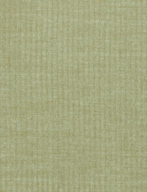 Ткань Designers Guild Lauzon F1780/05
