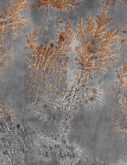 Панно и фотообои Glamora Creative Wallcovering GLFO122A
