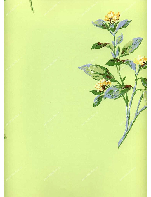 Обои York Ashford House - Flowers S.E. WU0716