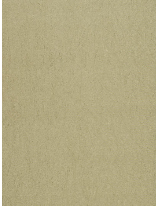 Ткань Trend Silky Solids Drapery 02838/Sage