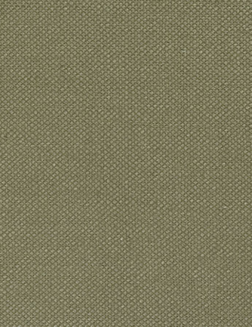 Ткань Designers Guild Bassano F1562/05
