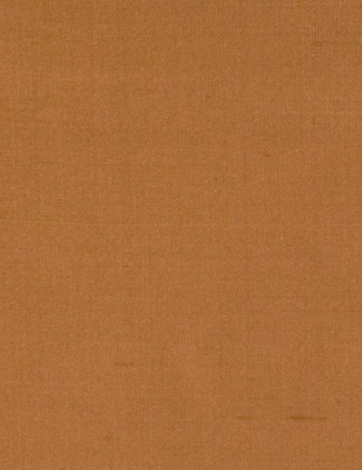 Ткань Fabricut Douppioni Silk Vol.II Multipurpose Douppioni silk/Autumn