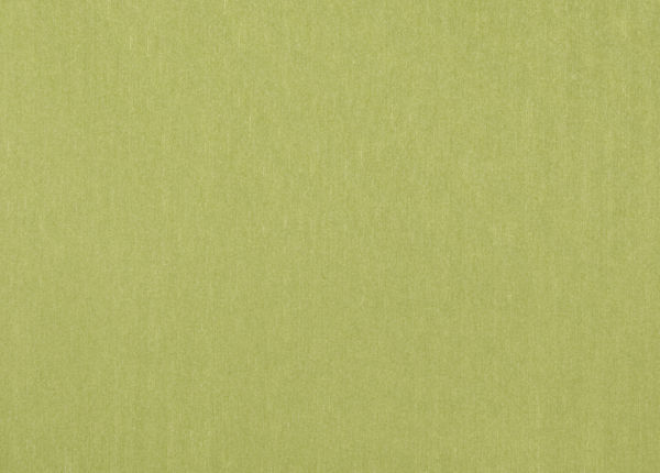 Ткань Designers Guild Brenan F1632/21
