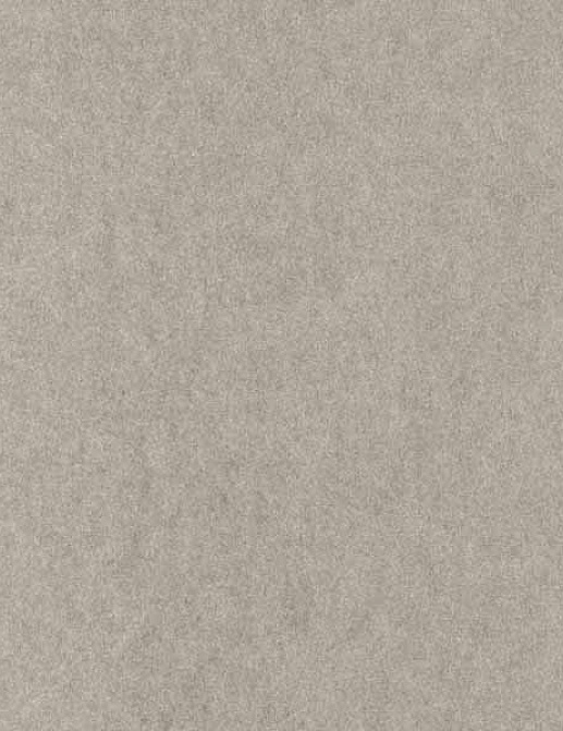 Обои Casadeco Yellowstone YST16539210