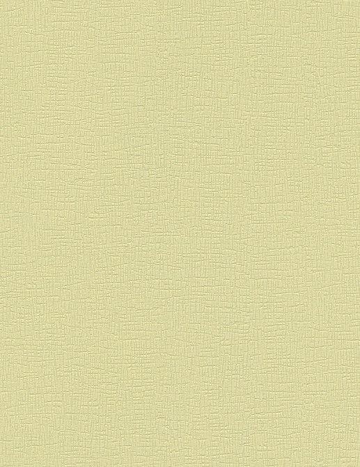 Обои A. S. Creation OK VII 96225-5