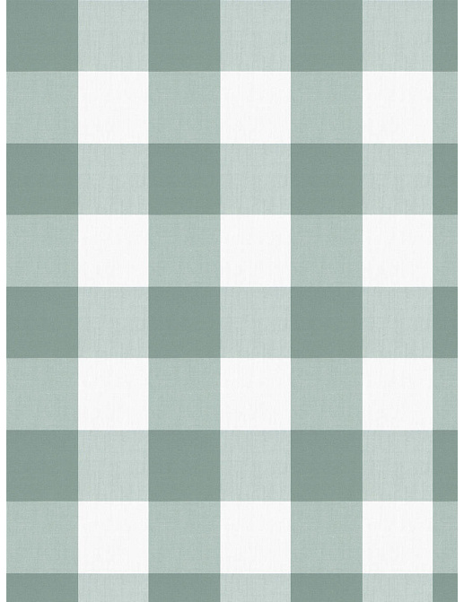 Ткань Fabricut Clean & Classic Indoor/Outdoor Checks & Stripes CampingCheck/Opal