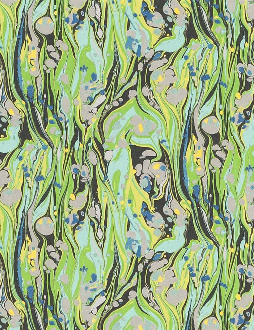 Обои Designers Guild Jardin Des Plantes PDG715/01