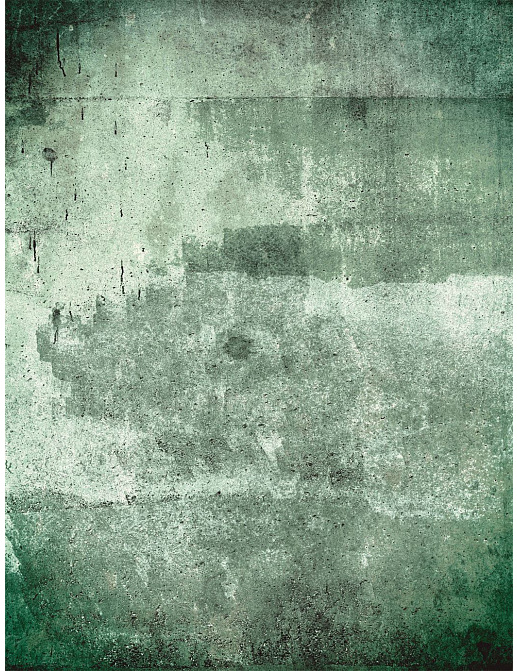Панно и фотообои Eijffinger Wallpower Favourites 309042