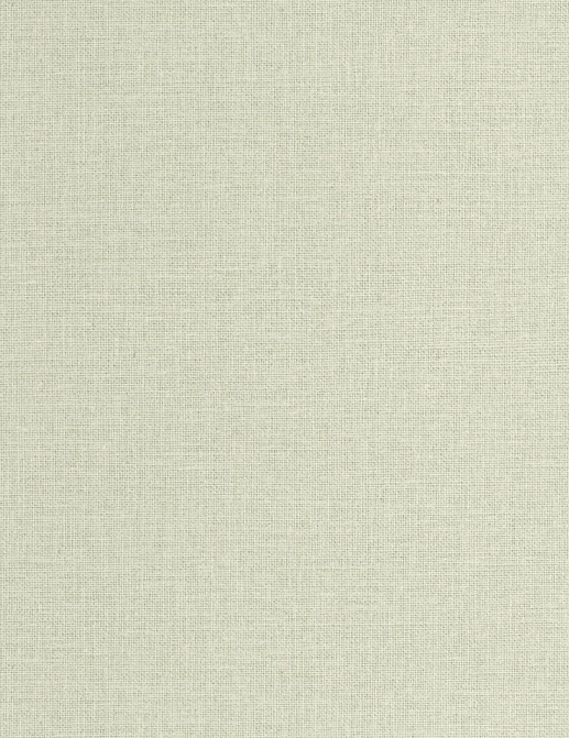 Обои Caselio Jute Essentiel JUT104017010