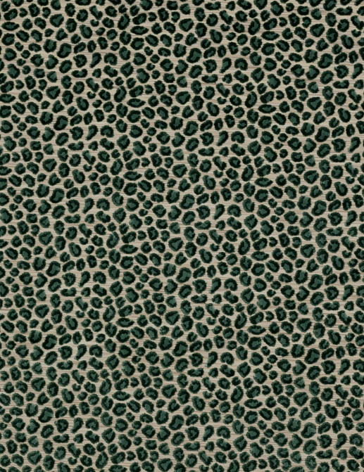 Ткань Colefax and Fowler Casey F3927/11