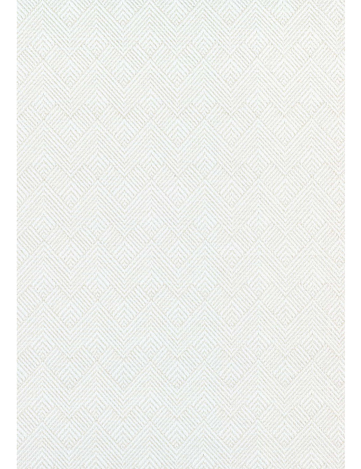 Ткань Thibaut Nomad W73332