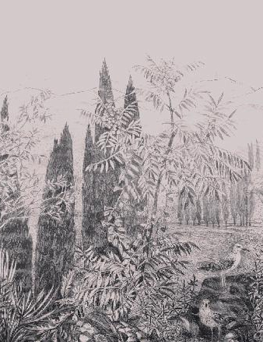 Панно и фотообои Affresco Dream Forest DG68 COL3