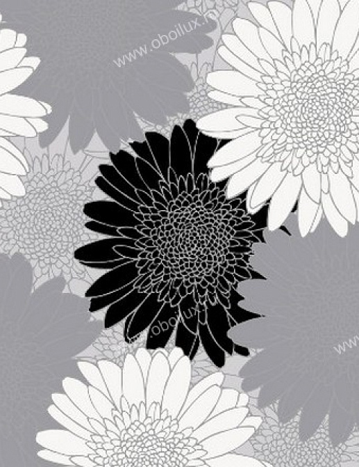 Обои A. S. Creation Funny Paper 674838