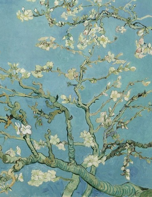 Панно и фотообои BN International Van Gogh 30548