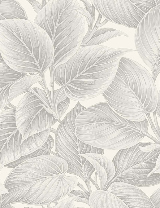 Обои Paper & Ink Shades & White WS70308