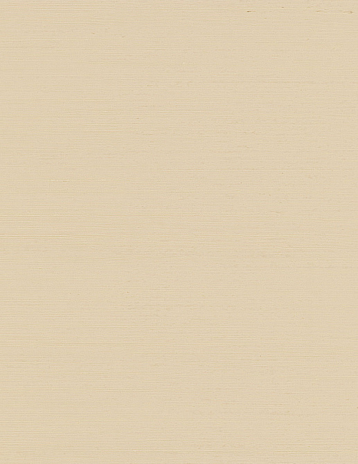 Обои York Ronald Redding Grasscloth & Natural Resource GV0110NW