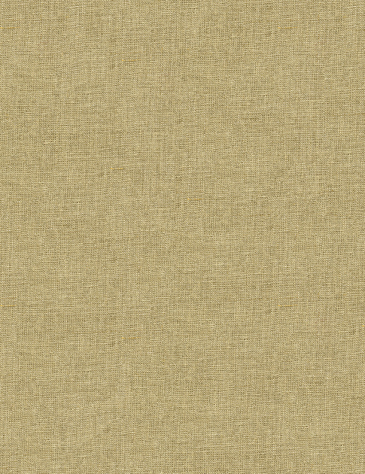Ткань Kravet Embellished Linen 33823/106