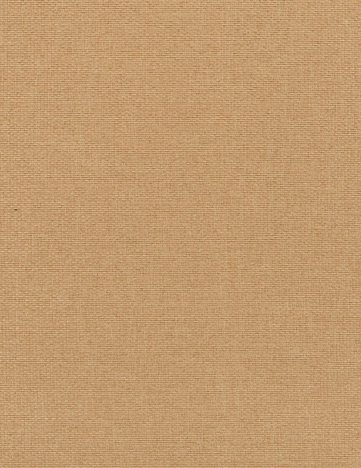 Ткань Designers Guild Contract essentials 2 FDG2769/16