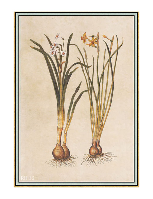 Панно и фотообои Iksel Scenic & Architectural Wallpapers Renaissance Herbier RH12