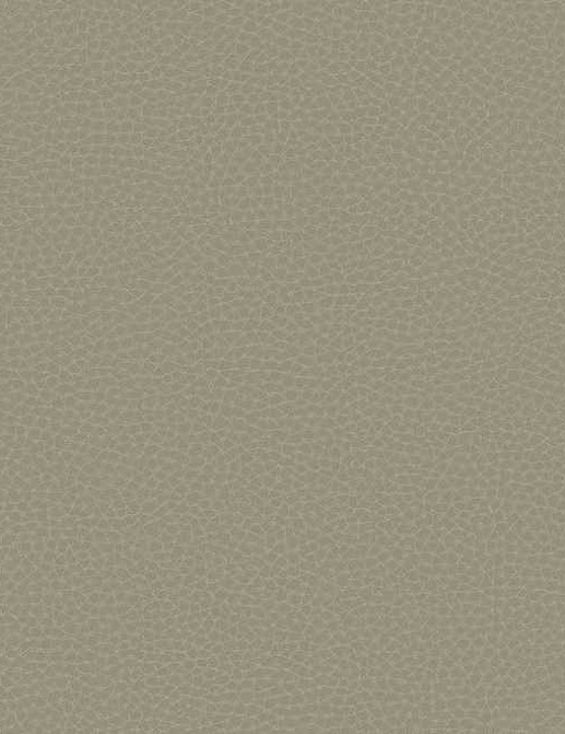 Обои Carl Robinson Edition 17 - Loft CR83006