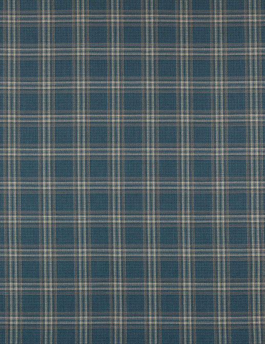 Ткань Colefax and Fowler Magnus Checks F4723/01