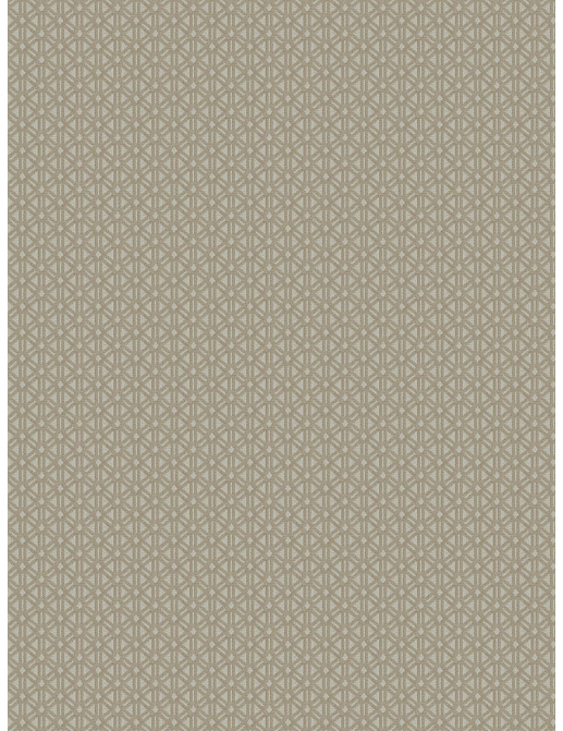 Ткань Fabricut Luxe Nuances Champagne Trousdale/Fawn