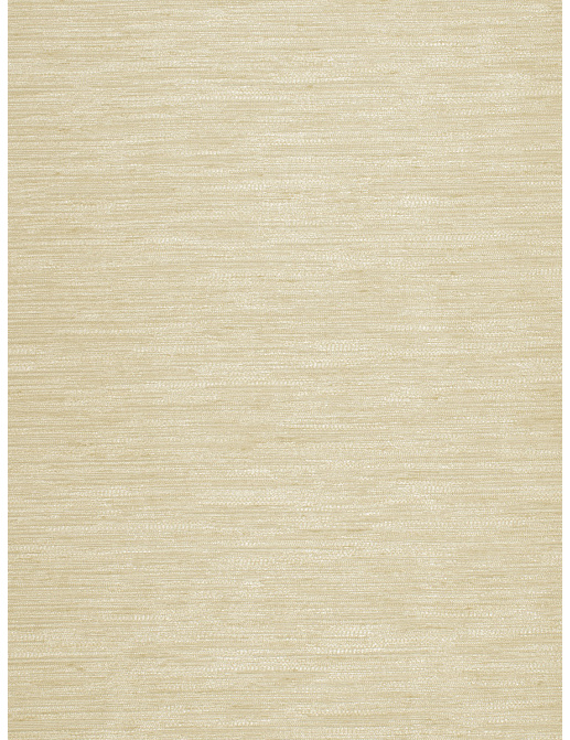 Ткань Trend Silky Solids Drapery 02840/Angora